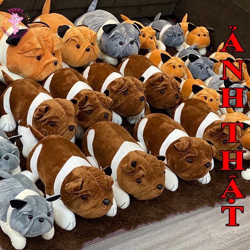 Gấu Bông Chó Nhăn Mặt Xệ Size 35Cm Nhiều Màu Sắc Chất Liệu Cao Cấp Nhồi Bông Gòn Trắng Tinh Khiết