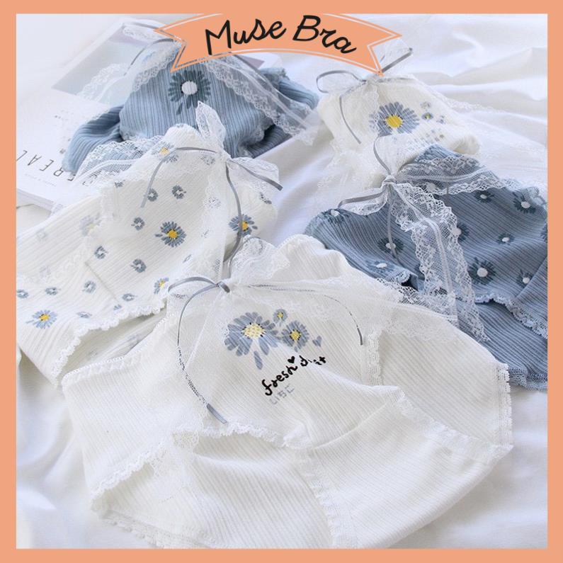[Giá sỉ] Quần Lót Cotton Co Giãn 4 Chiều Cúc Hoạ Mi (40-80kg)