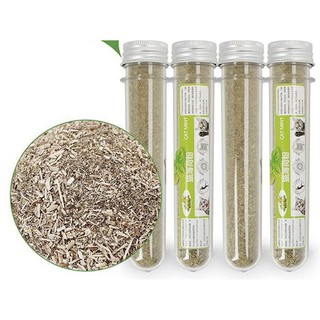 Cỏ mèo, cỏ bạc hà, catnip - [10gr]