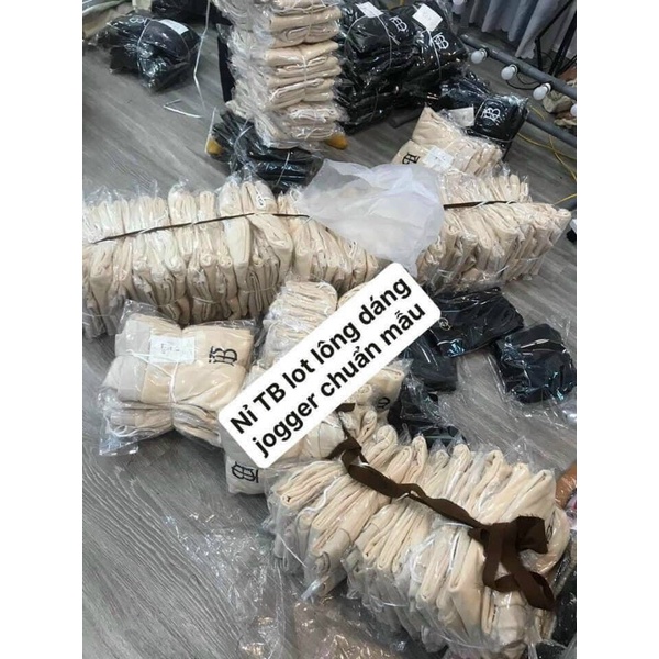 Quần thể thao nữ T.B lót nỉ dày dặn dáng jogger trẻ trung năng động full size