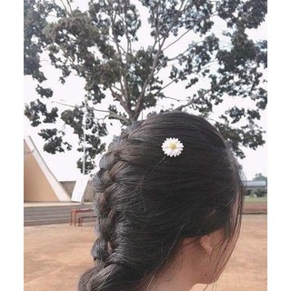 Sỉ Kẹp tóc hoa cúc dễ thương