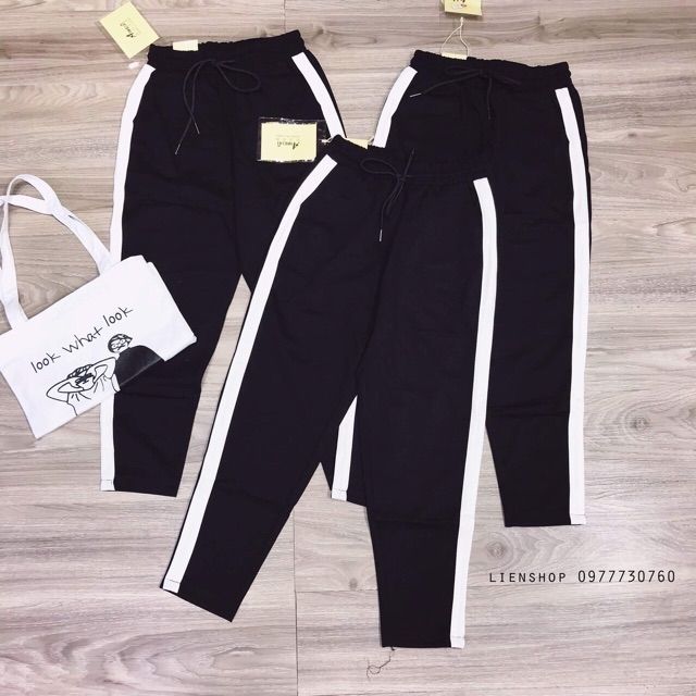Quần jogger sọc to