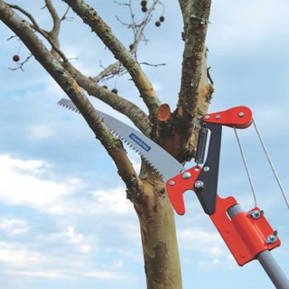 Cưa cắt cành trên cao, cán 3m kim loại điều chỉnh được chiều dài TRAMONTINA  - ban công xanh