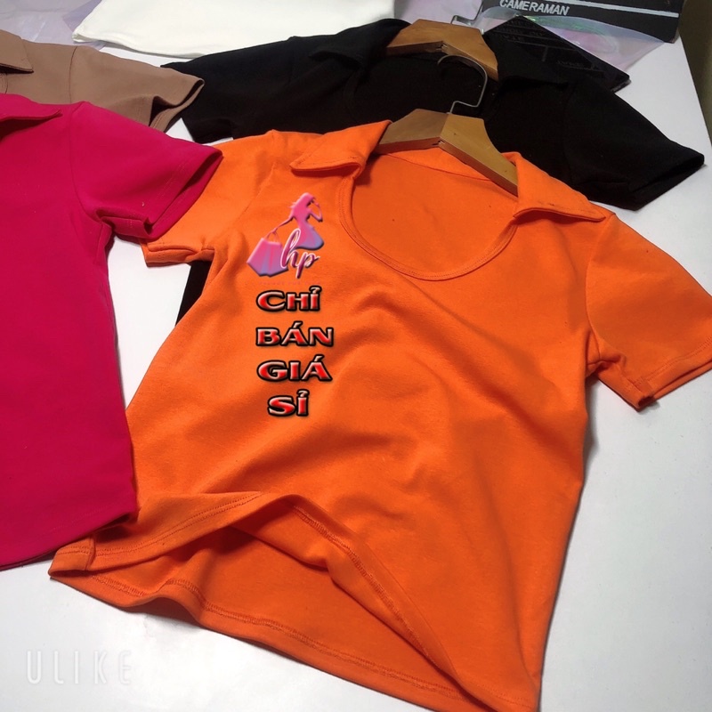 áo croptop nữ ôm body kiểu cổ bẻ tay ngắn khoét ngưc mẫu mới thời trang 2021 #36LA03 | BigBuy360 - bigbuy360.vn