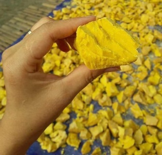 TINH BỘT NGHỆ NGUYÊN CHẤT