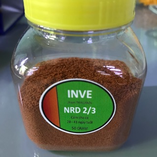 CÁM THÁI INVE 2/3 khối lượng 50g