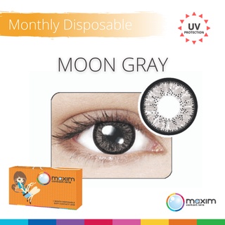 Lens màu 3 tháng Maxim Colors - màu MOON GRAY