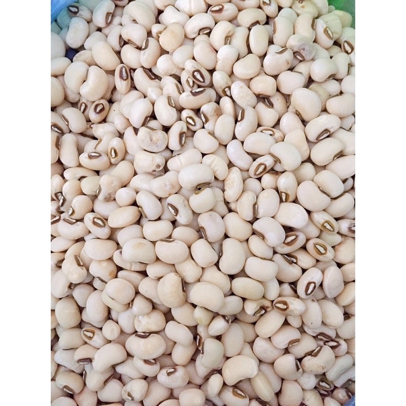 Đậu trắng -(100gram -500gram)