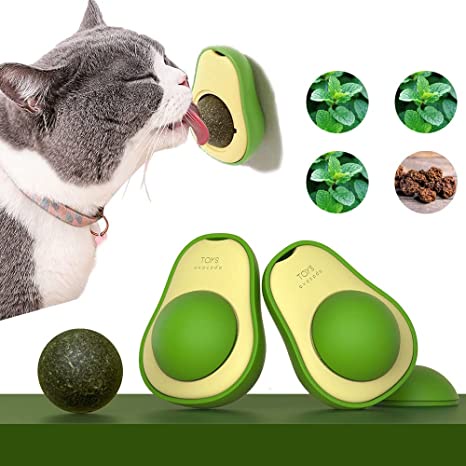 CATNIP GẮN TƯỜNG - Cỏ mèo BẠC HÀ giúp Mèo giải trí, thư giãn