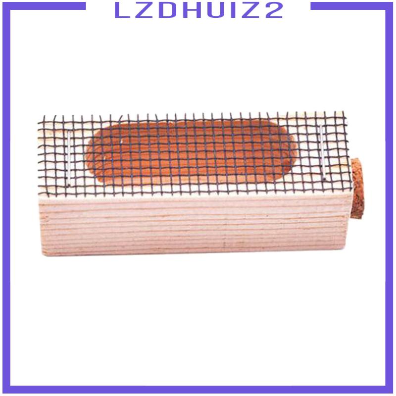 Set 5 Lồng Bắt Ong Chúa Chuyên Dụng Cho Nuôi Ong