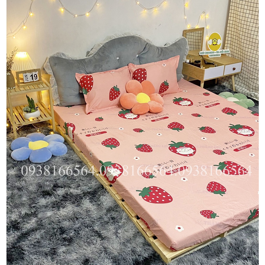 TRỌN BỘ COTTON POLY 5 MÓN CHĂN PHAO DÀY DẶN HÀNG VN  QUẢ DÂU - ĐỦ KÍCH THƯỚC