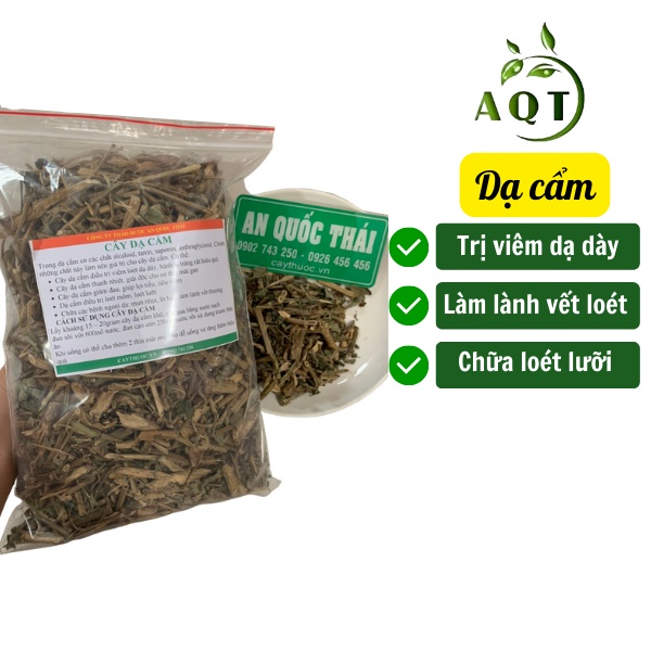 1kg Cây Dạ Cẩm (Khô, Sạch) Hỗ Trợ Người Đau Dạ Dày, Viêm Loét Dạ Dày