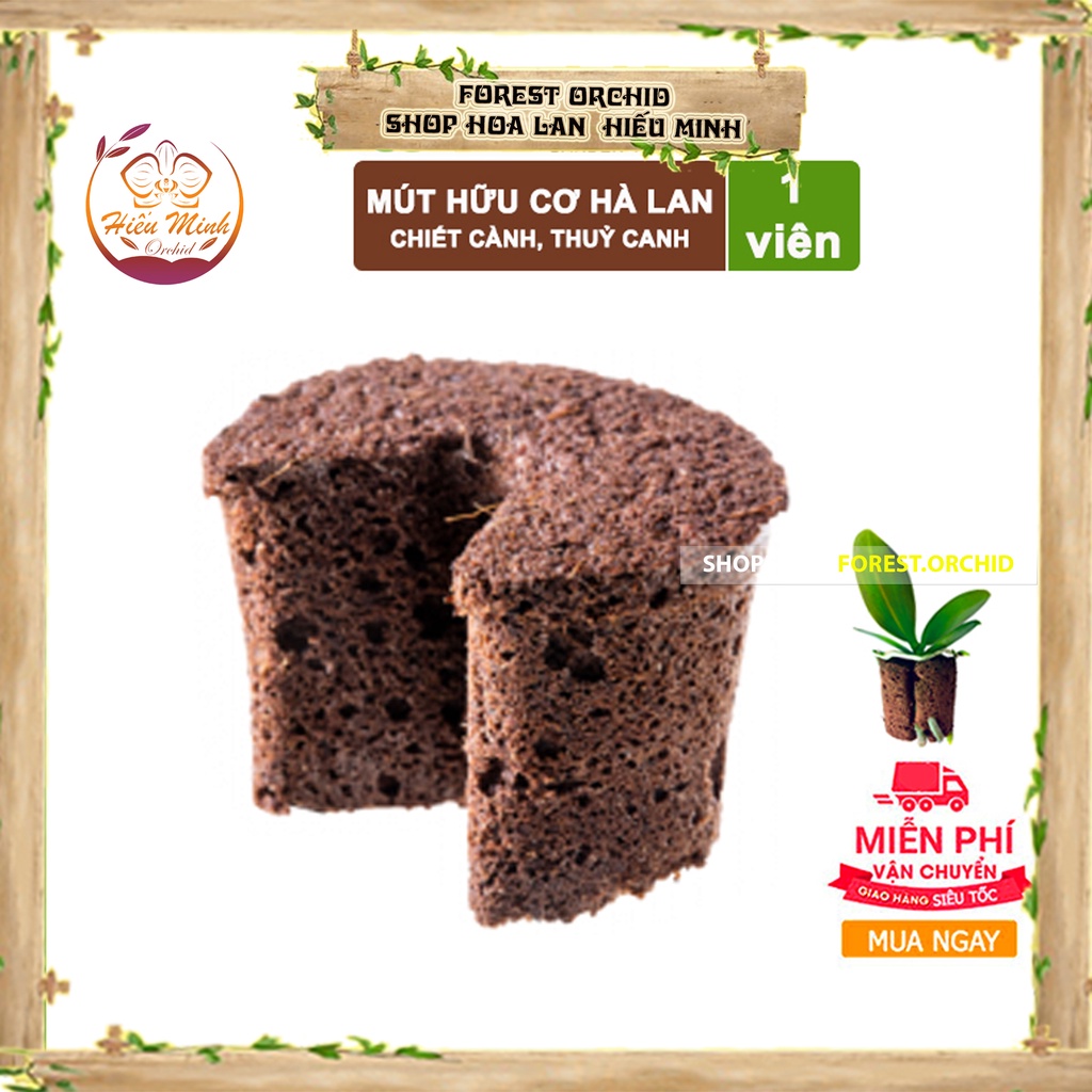 Mút Ươm Kei Hà Lan, cho Hoa, Lan ,loại , TỐT, Thuốc,Làm, cây cảnh và hạt giống, Bền, Đẹp, Xanh, Sống, Chất,Lượng