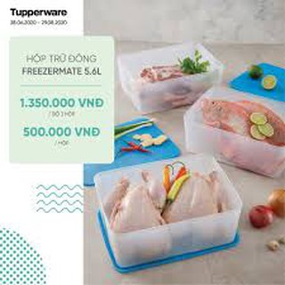 Hộp trữ đông Tupperware cực đại 5.6L