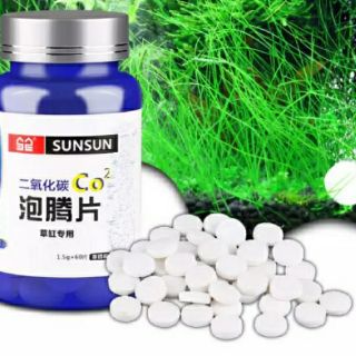 Viên sủi CO2 cho hồ thủy sinh (Lọ 60 viên)