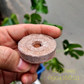 Combo 10 viên nén xơ dừa 42mm