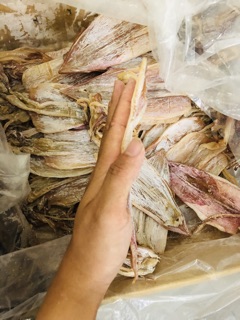 Mực câu xịn Cát Bà size 35 40con