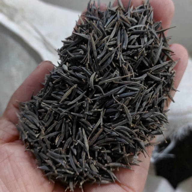 1kg sao nhái