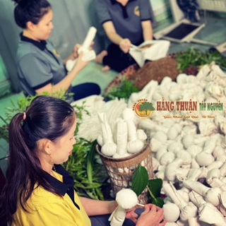 Cây Muối Thảo Dược Chườm Mắt