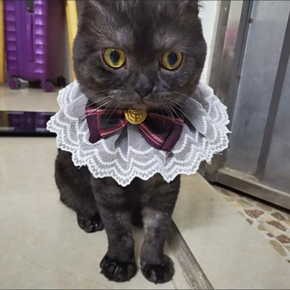 Yếm đeo cổ đính nơ họa tiết kẻ sọc ca rô phối ren cotton đáng yêu dành cho thú cưng