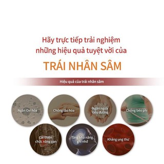 Trà sâm gừng 330g
