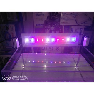 Đèn led Aquarium (30-40-50-60)