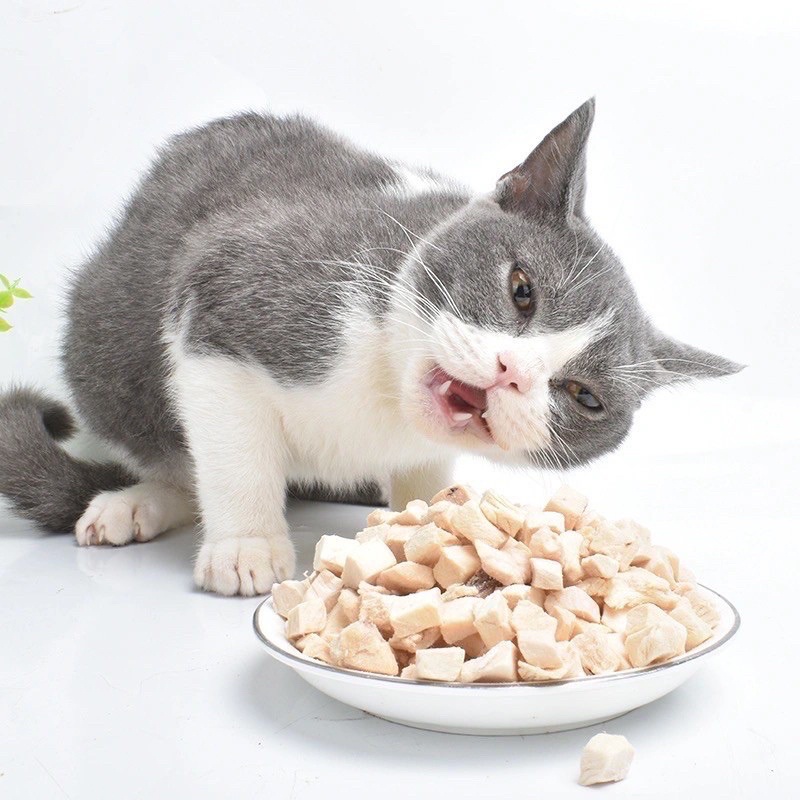 Viên Gà Sấy Khô/ Thịt gà Sấy Khô/Lòng đỏ/Gà miếng/cá hồi sấy khô Ăn Vặt Hoặc Mix Cùng Hạt Cho Chó Mèo Hamster