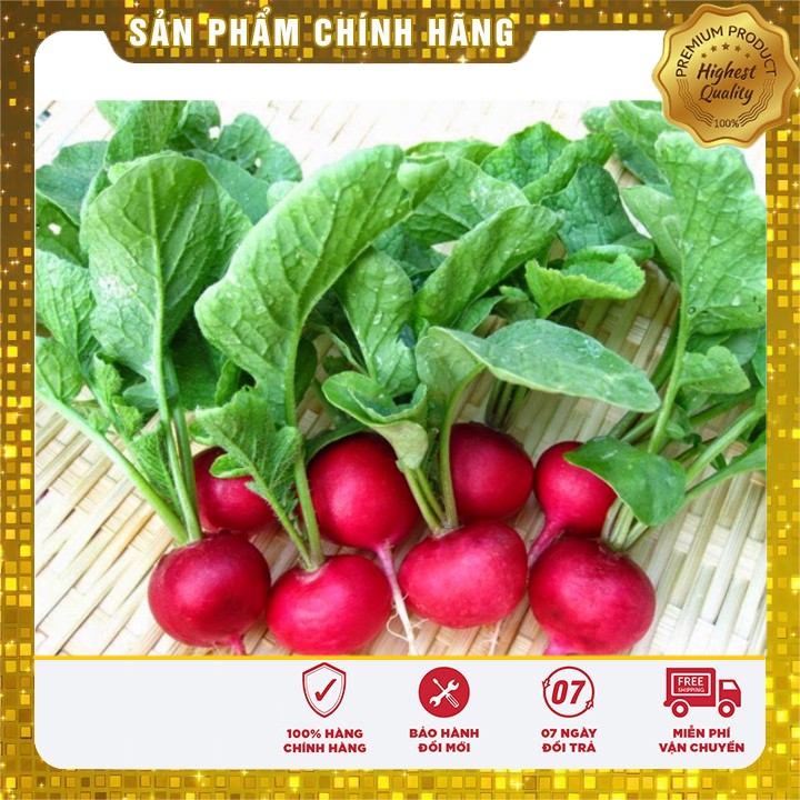 Hạt Giống Củ Cải mini dễ trồng dễ chăm sóc nhanh thu hoạch ( gói 5 gram)