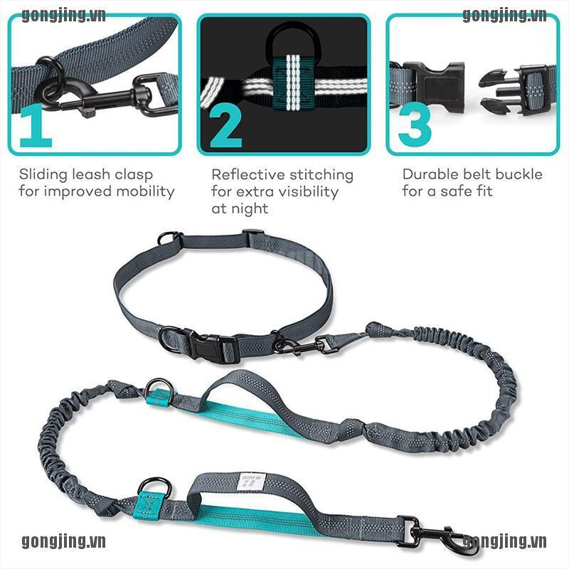 GONJ Pet Dog Running Belt Elastic Leash Traction Rope Jogging Pull Dog Leash