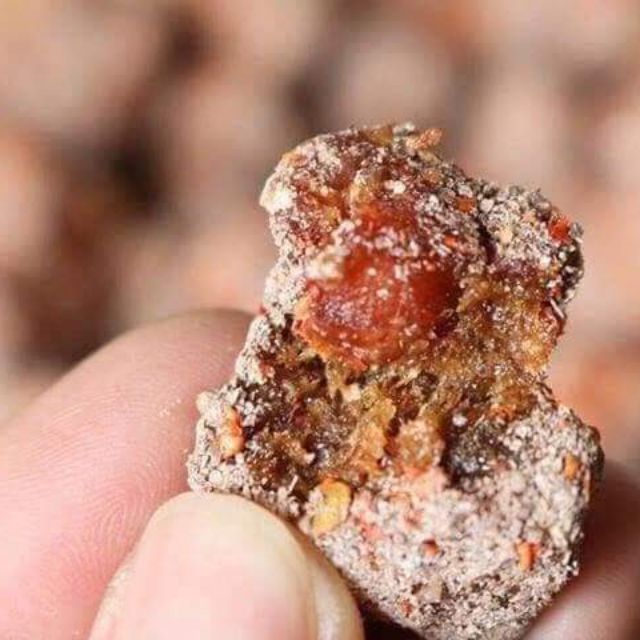 💢💢💢ME XÍ MUỘI CHÙM RUỘT