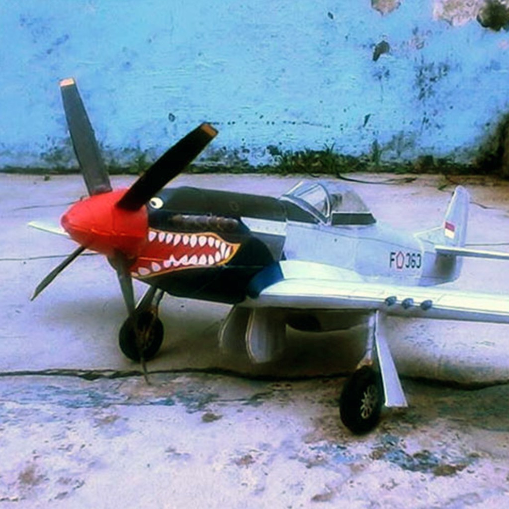 Mô hình giấy Máy bay quân sự Red Beak P-51D Mustang