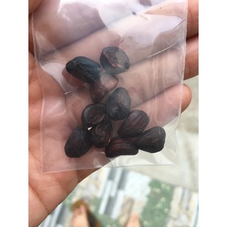 Hạt dổi Tây Bắc cực thơm ngon