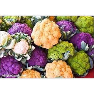Hạt Giống Súp Lơ Mix