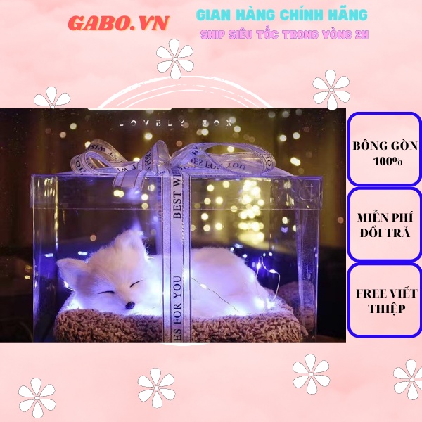 Hộp Quà Thú Cưng Tặng Bạn Gái, Hàng chuẩn loại 1 Hộp Kiếng trong Suốt.GABO.VN-Gấu Bông Siêu Cấp