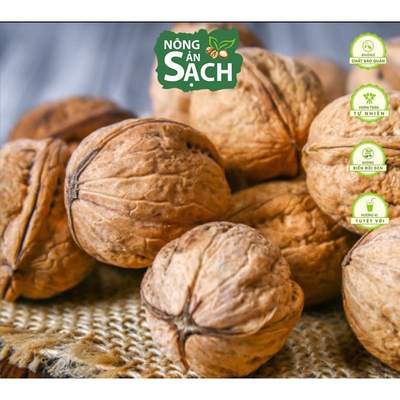 HẠT ÓC CHÓ NHẬP KHẨU MỸ 100% 500g