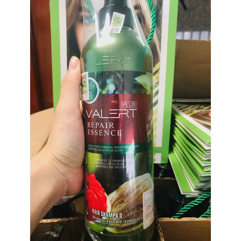 DẦU GỘI DẦU XẢ BƯỞI GRAPEFRUIT PLUS CHỐNG RỤNG TÓC PHỤC HỒI HƯ TỔN 850ML
