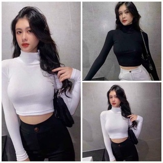 Áo croptop cổ cao dáng ôm tay dài, chất thun mềm mại bao test, có 3 màu trắng đen nude, free size dưới 56kg