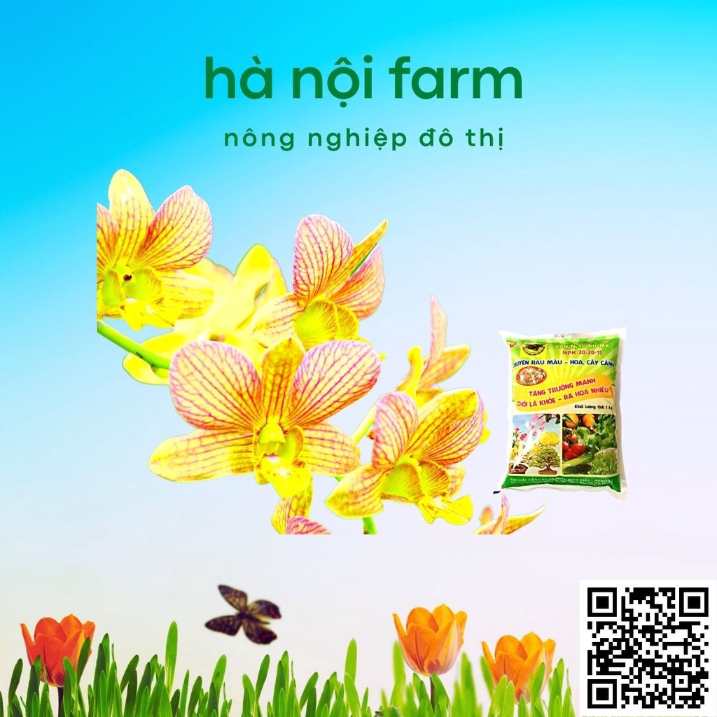 Phân bón đầu trâu 20-20-15, dùng cho rau màu, hoa kiểng gói 1kg