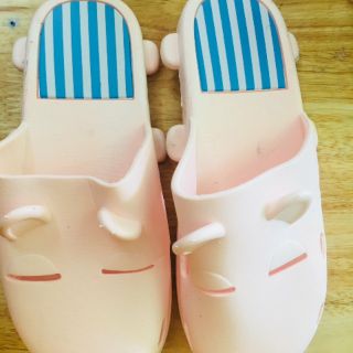 Combo 22 đôi sục chó chọn size