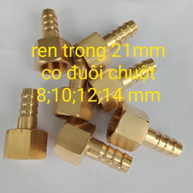 Nối ren trong 21mm đuôi chuột 8mm, 10mm...
