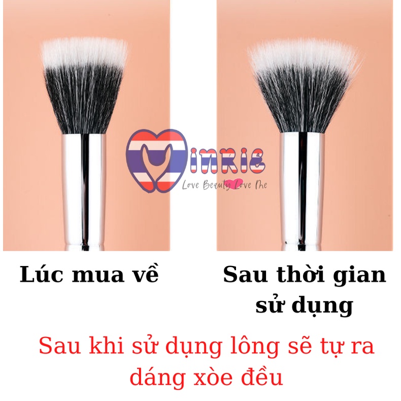 Cọ má hồng mẫu mới cho makup ửng hồng tán phấn đều tự nhiên cán nhựa lông mềm