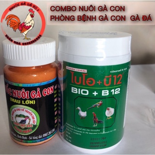 ComBo Nuôi Gà Con úm gà con mau lớn