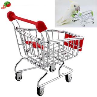 Xe đẩy siêu thị đồ chơi cho thú cưng vẹt