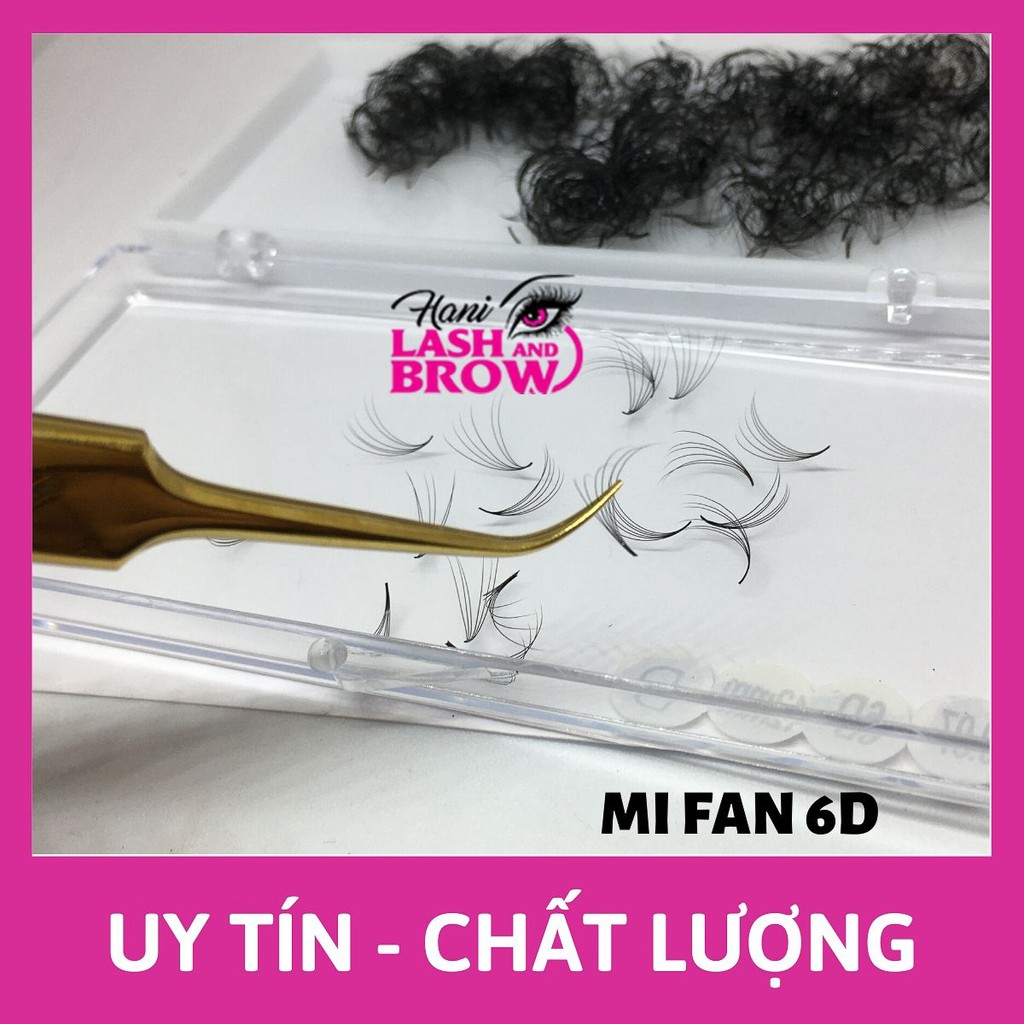Mi fan 6D - fan xòe đều - chân keo nhỏ - Lông mi fan sẵn Hani Lash