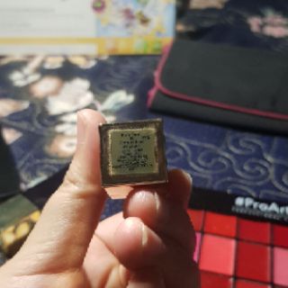 Son Estee Lauder Pure Color