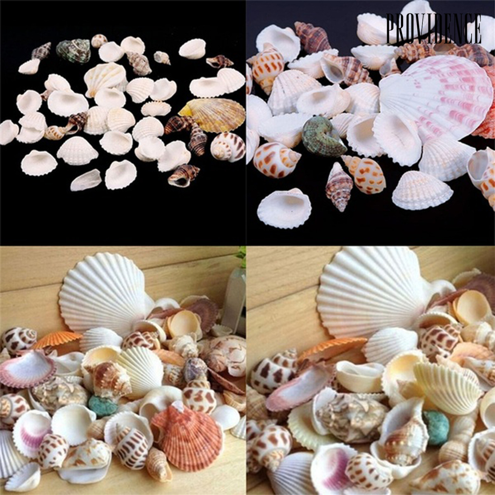 1 Túi 100g Vỏ Sò Sao Biển Dùng Để Trang Trí Bể Cá / Tiểu Cảnh