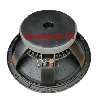 Loa bass 30 coil 65 từ 170