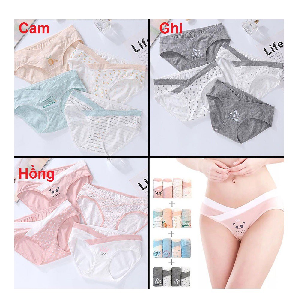 Quần lót bầu - Set 4 cái - Cạp chéo - Cotton siêu sịn an toàn - họa tiết đáng yêu