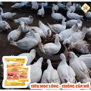Siêu mọc lông, chống cắn mổ ( hàng chuẩn)