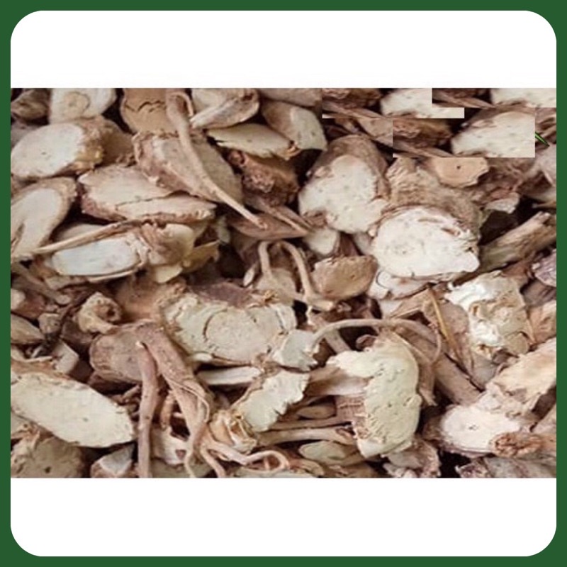 Rễ cây đinh lăng loại 1 chất lượng túi 1KG